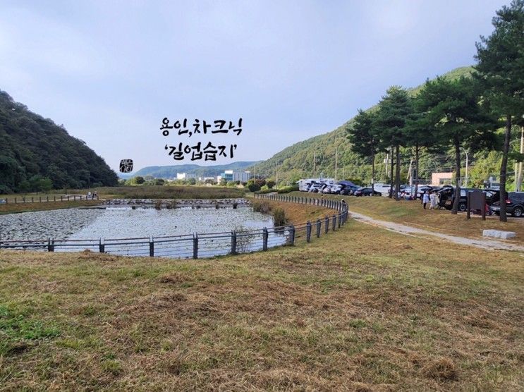 용인 차크닉 피크닉 길업습지