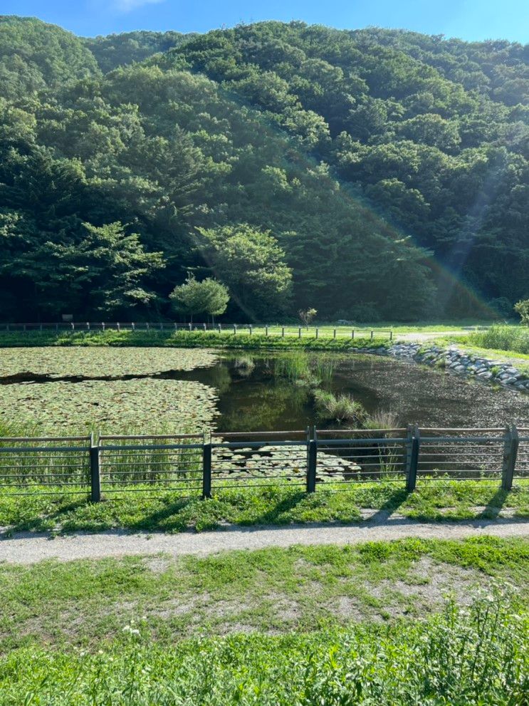 서울근교 용인 차크닉, 길업습지