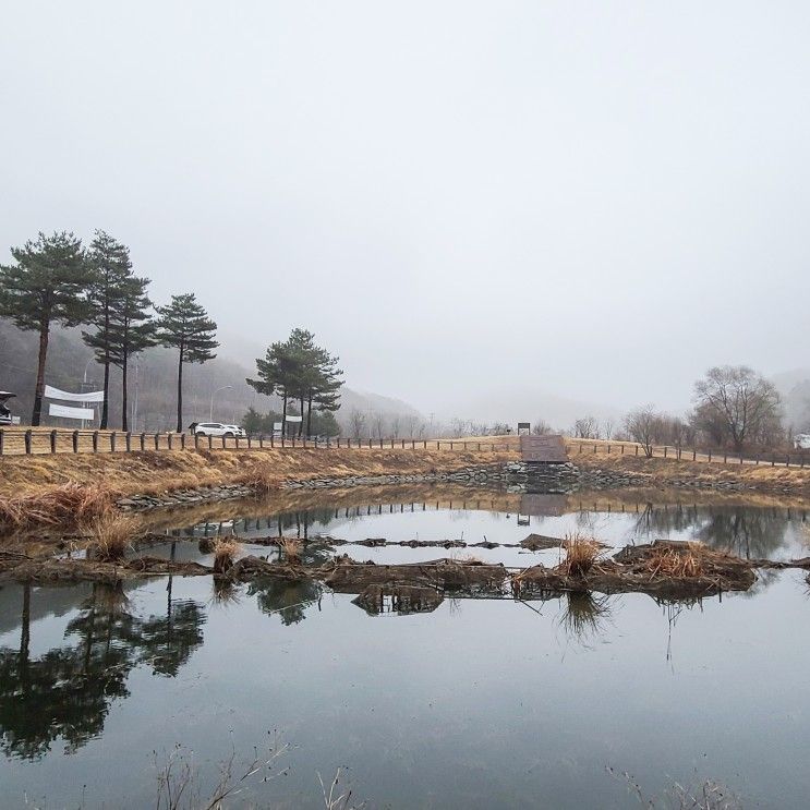 라면 먹고갈래? 스텔스 차크닉 길업습지, 용인 컵라면 드라이브