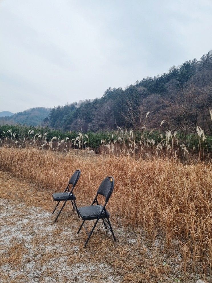 용인 가볼만한곳 길업습지 생태공원-농촌테마파크