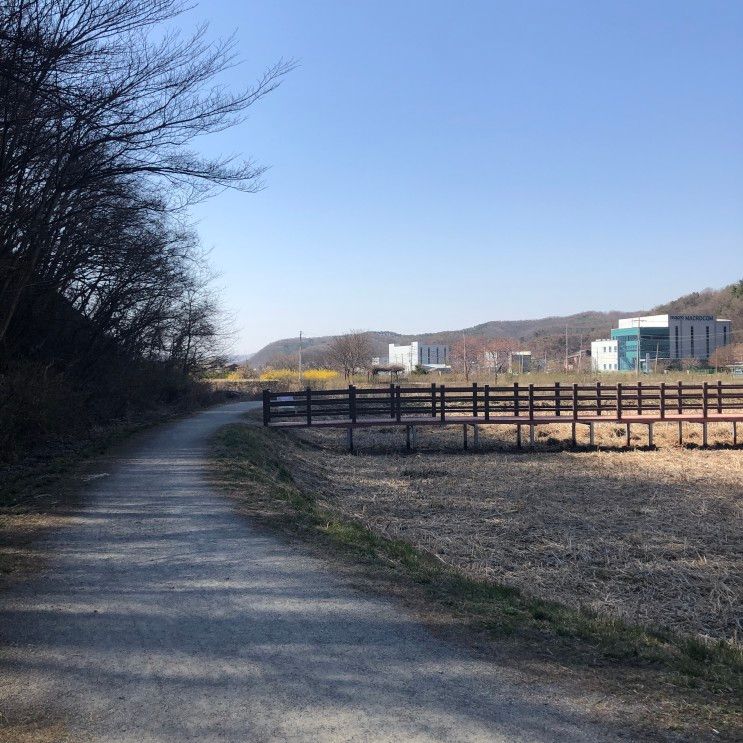 용인 드라이브 코스 추천 : 용인 와우정사 가는 길의 길업 습지... 