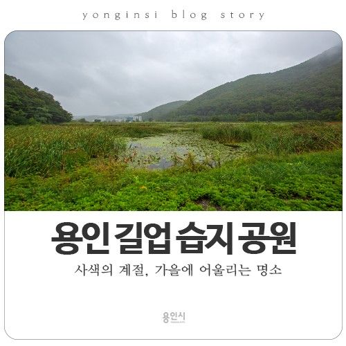 [용인 가볼만한 곳] 운학동... 돌무지군 그리고 길업 습지 공원