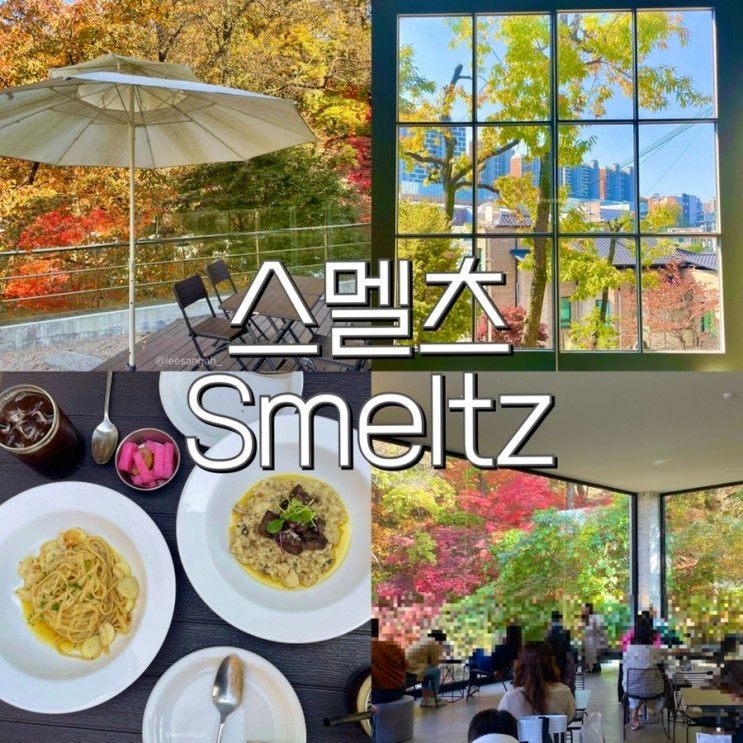 [경기도광주] 단풍명소 카페 스멜츠:smeltz 평일 오전 방문후기(2022.10.31) / 단풍 테라스카페 추천