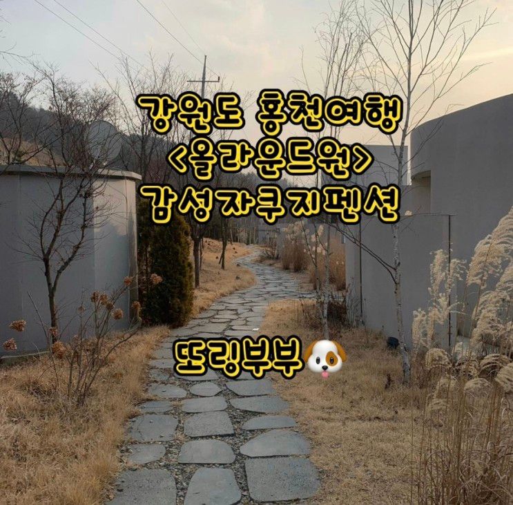 강원도 홍천 여행 <올라운드원>독채펜션, 감성펜션,자쿠지펜션