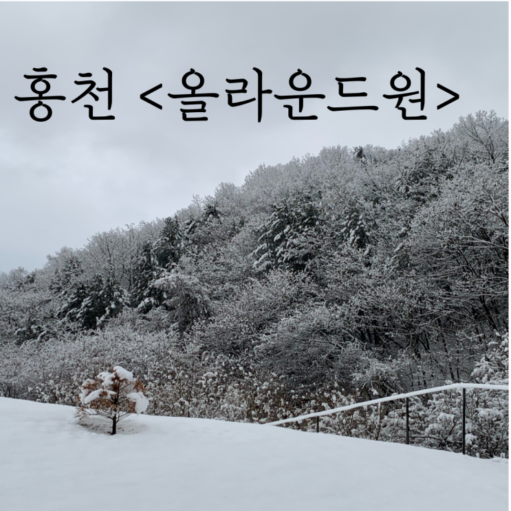 홍천 숙소 <올라운드원>, 눈 오는 날 최고였던 홍천 감성 숙소