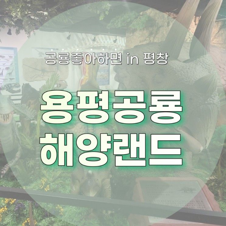 아이랑 공룡보러 용평공룡해양랜드 방문기(ft.vr 체험, 용평리... 