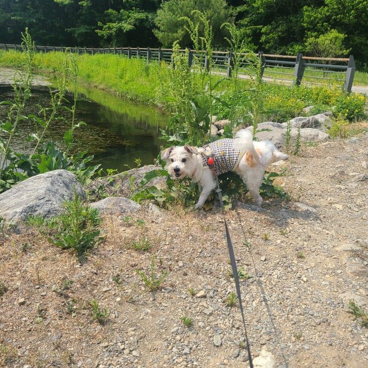 오늘의산책, 침강저류지/길업습지공원