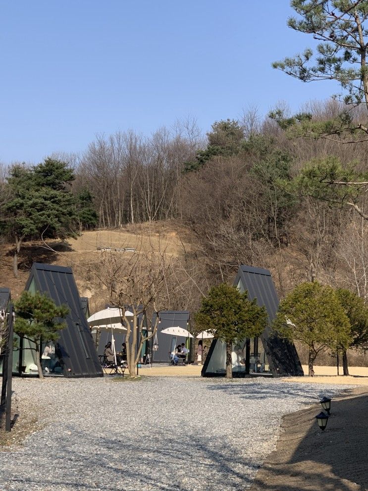 [용인 카페] 앤드 모안 - 예약필수 / 프라이빗 카페 / 프라이빗 피크닉을 즐기고 싶을 땐 여기로! / 반려동물 동반 출입 가능 /외부음식 반입가능