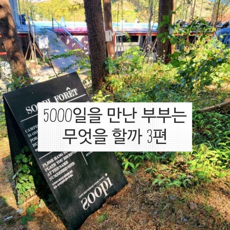 5000일 기념 휴가(22.10.18 수피다이닝/수피포레스트...