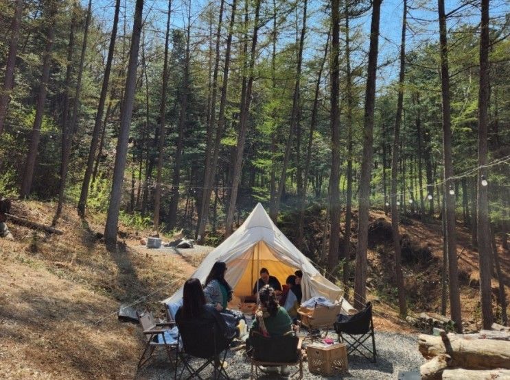 주말 봄나들이 포천 수피다이닝 아줌마 캠핑 감성