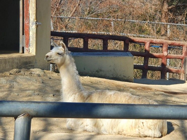 진주 진양호 동물원 (입장료, 주차장, 시간)