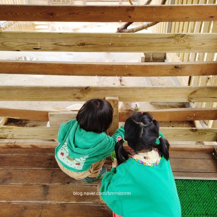아이들과 비오는 날 오산 오마이주 실내동물원