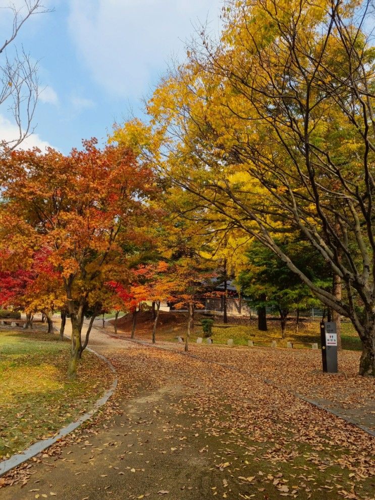 파주단풍 자운서원 서울근교 단풍명소 파주이이유적