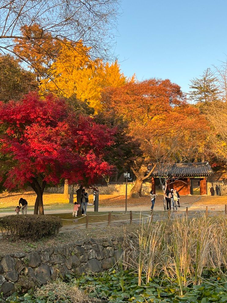 파주 단풍 명소 자운서원: 파주 이이 유적 피크닉 즐기기