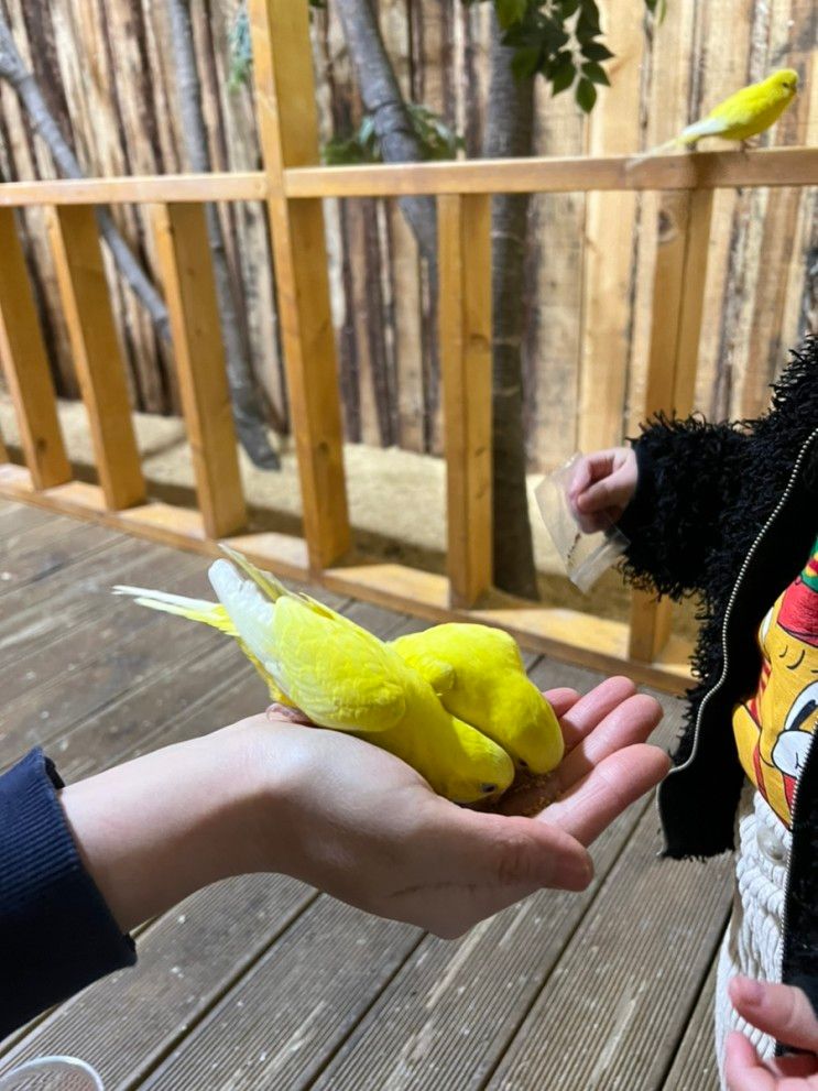 아이랑 가볼만한곳, 오산 오마이주 실내동물원