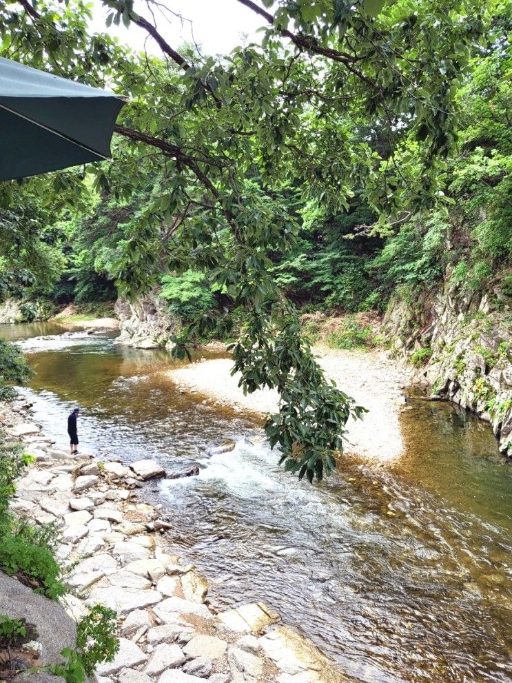 파주 연천 계곡카페 그린달, 아이들이 놀기좋은 계곡이 있는... 