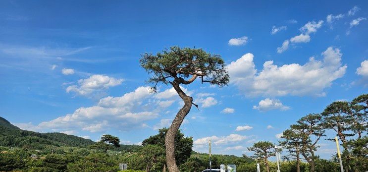 영주여행 가볼 만한 곳 [영주 순흥 벽화고분, 여우 생태관찰원...