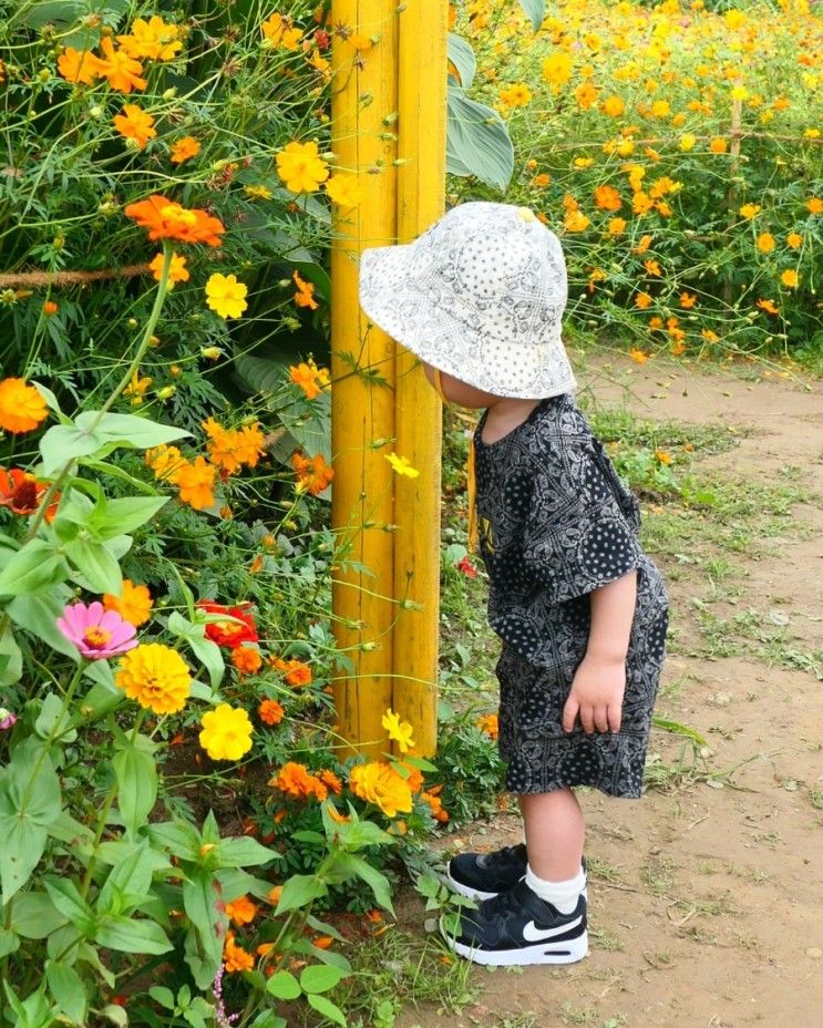 서울근교 아기랑 가기좋은곳, 임진강 댑싸리공원(3대가 함께♡)