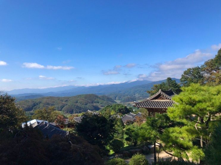 영주 당일치기 여행 부석사 순흥묵밥 태극당 여우생태관찰원...