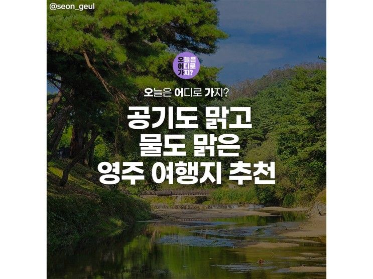 영주 가볼만한곳 영주소수서원 여우생태관찰원 외 5곳