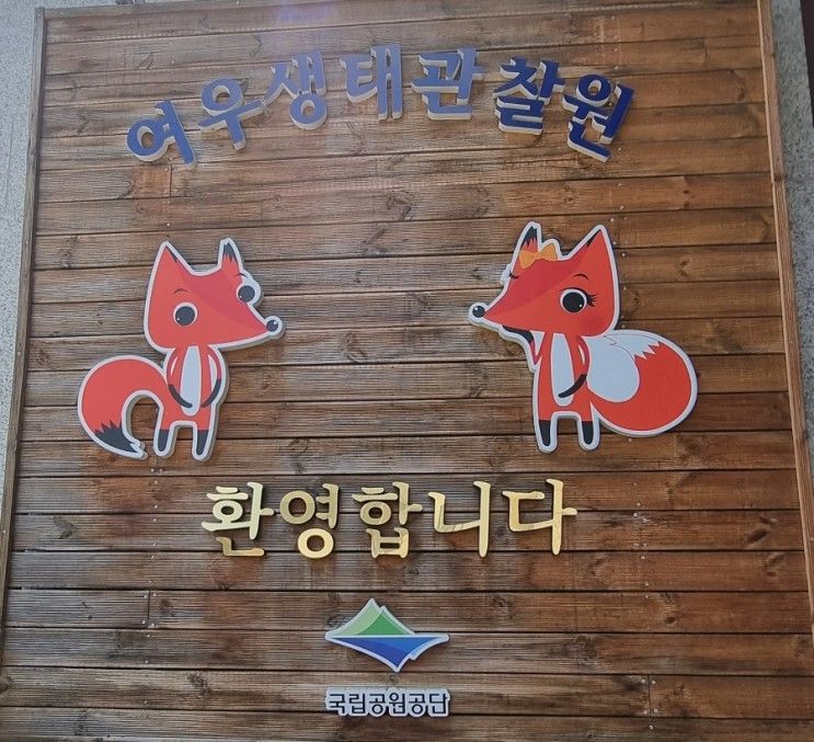 영주_아이와가볼만한곳_여우생태관찰원_소백산붉은여우