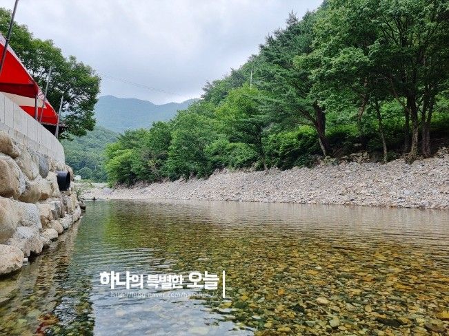 청도 계곡 식당 물놀이가 가능한 거림가든 펜션