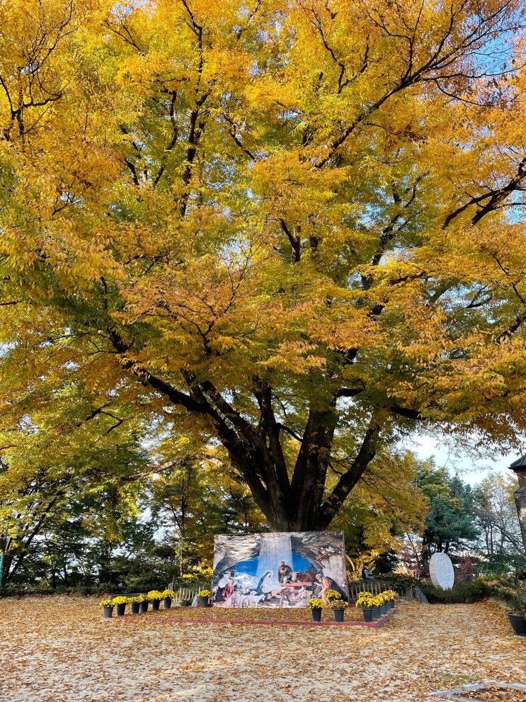 삽교호 놀이동산 그리고 공세리성당