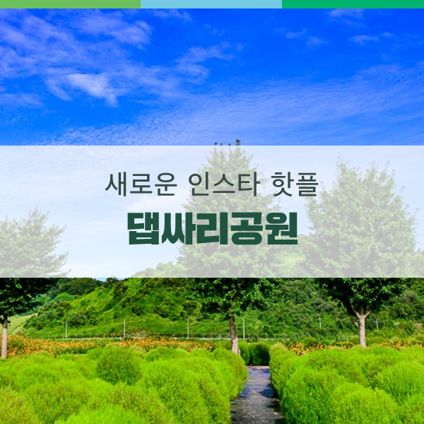 연천 새로운 인스타 핫플 임진강 댑싸리공원