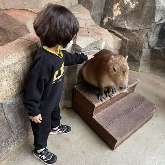 오산 버드파크 실내동물원 먹이주기 체험 아이들이 좋아해요!