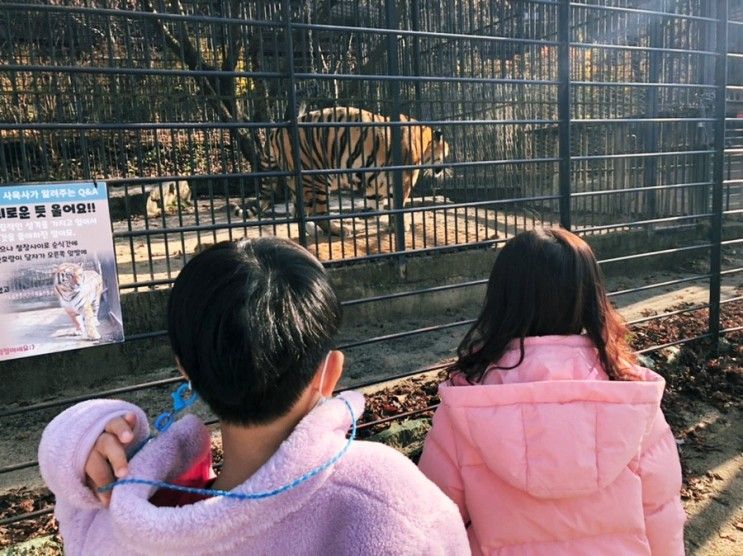 아침고요 수목원 가족 동물원ㅣ가평 아이랑 가볼만한 곳 할인... 