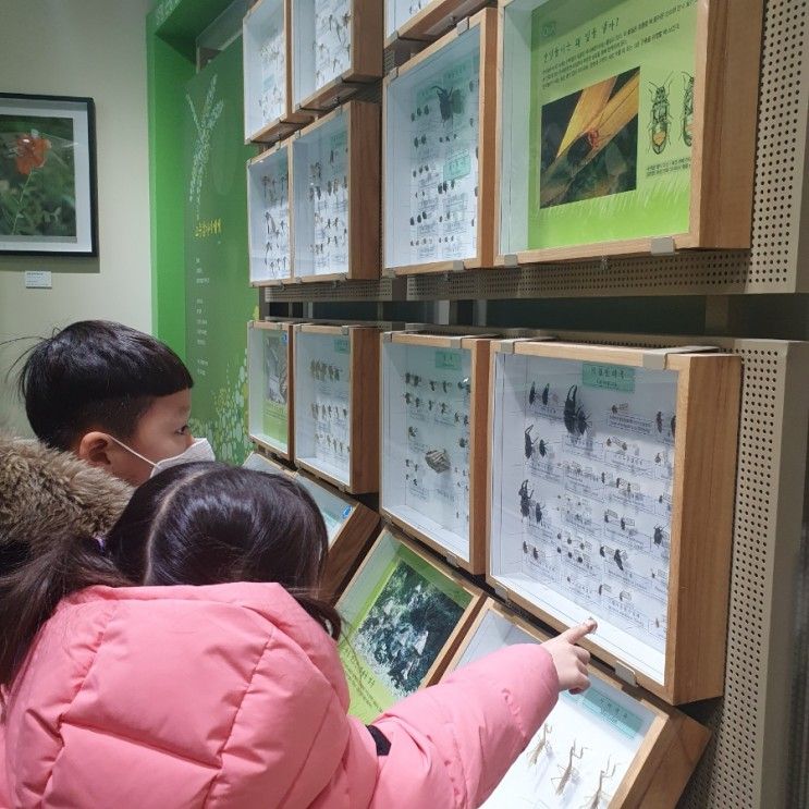 서울근교 아이와 가볼만한곳 양평곤충박물관 (양평여행코스)