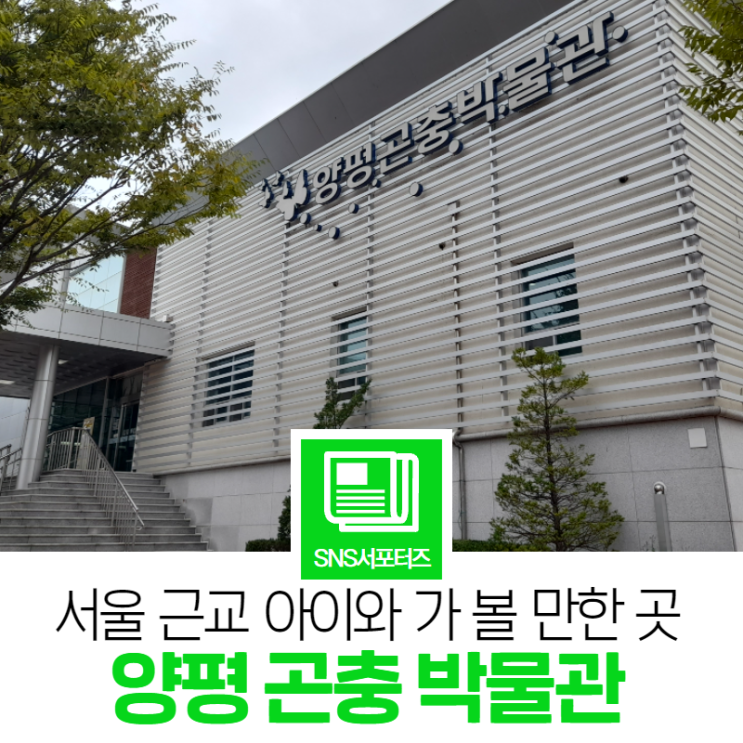 서울 근교 아이와 가 볼 만한 곳 양평 곤충박물관!