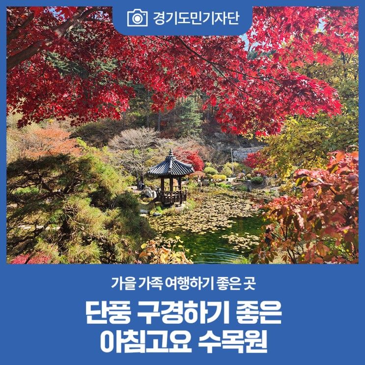 가을 가족 여행하기 좋은 곳, 단풍 구경하기 좋은 아침고요수목원