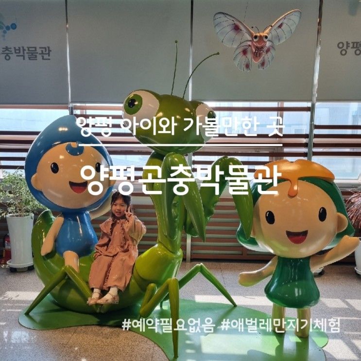 경기도 양평 아이와 가볼만한 곳, 양평곤충박물관(예약없음)