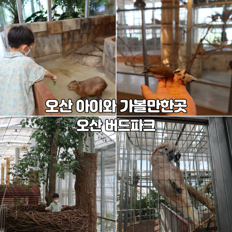 오산 아이와 가볼만한곳 오산 버드파크