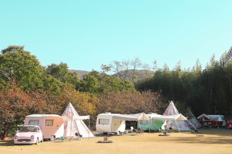 경주 글램핑 선셋드몽 밤부사운드캠핑장 솔직후기