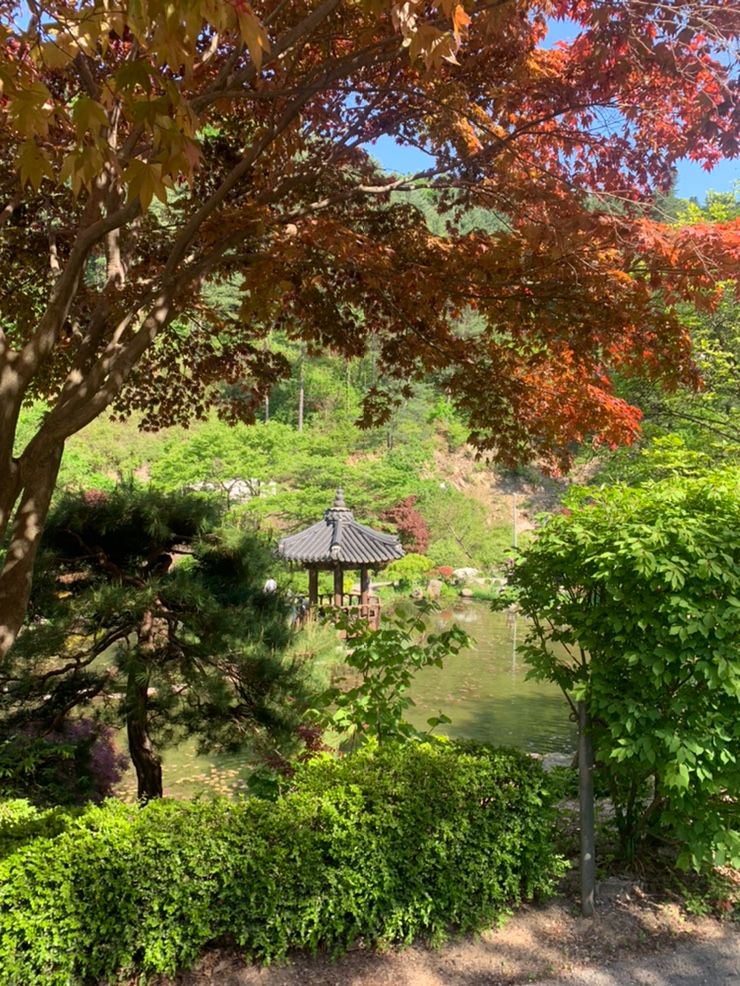 아이와함께 가평 아침고요수목원