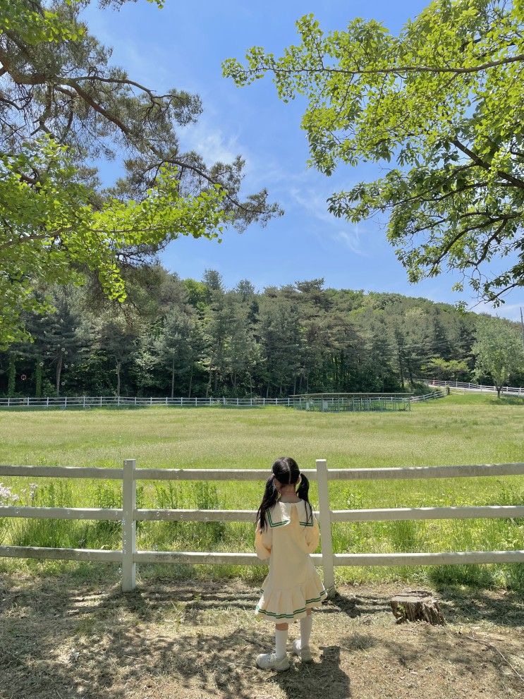 [경기도여행]원당:렛츠런팜(종마목장)...