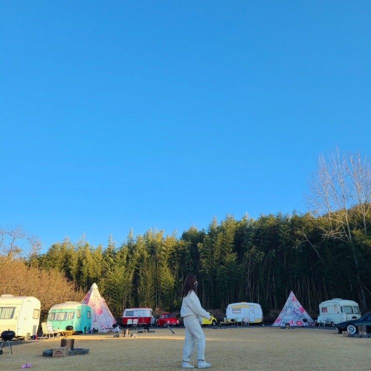 [경주 천북] 감성 있는 글램핑&카라반 '밤부사운드캠핑장' 과...