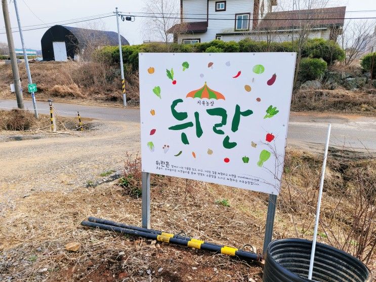 김포 놀거리 :) 시골에 온것 같은 아이들의 즐거움 "치유농장 뒤란"