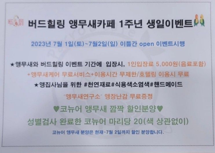 시흥시 가볼만한곳-시흥배곧앵무새카페 버드힐링