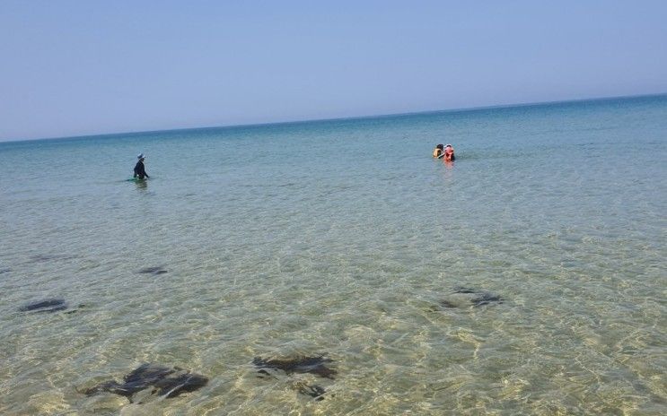 양양 가볼 만한 곳 /아름다운... 6월 동산 해변 동산리 해수욕장