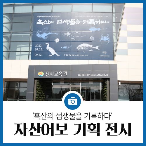 '흑산의 섬생물을 기록하다' 신안 × 국립호남권생물자원관 공동... 