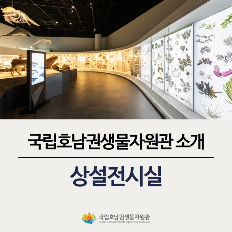 주말 아이와 함께 가볼만한 곳, 국립호남권생물자원관 전시관