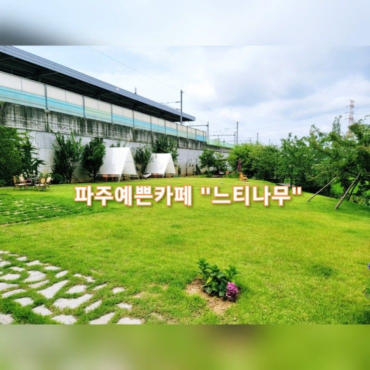 파주예쁜카페 추천 "느티나무" 넓은 잔디밭과 책이 있는 나만...