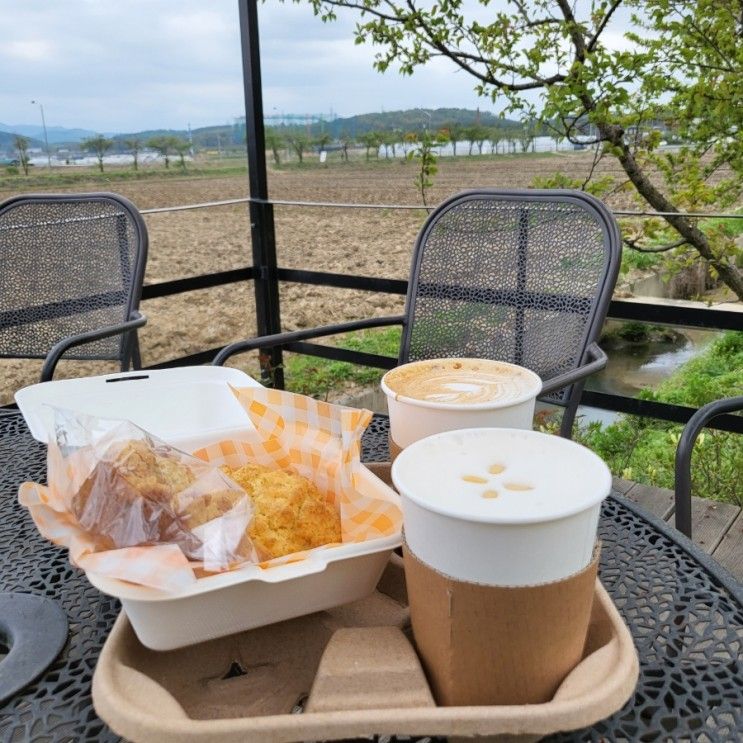 탁트인 논밭뷰가 매력적인 파주 스콘 맛집, 느티나무