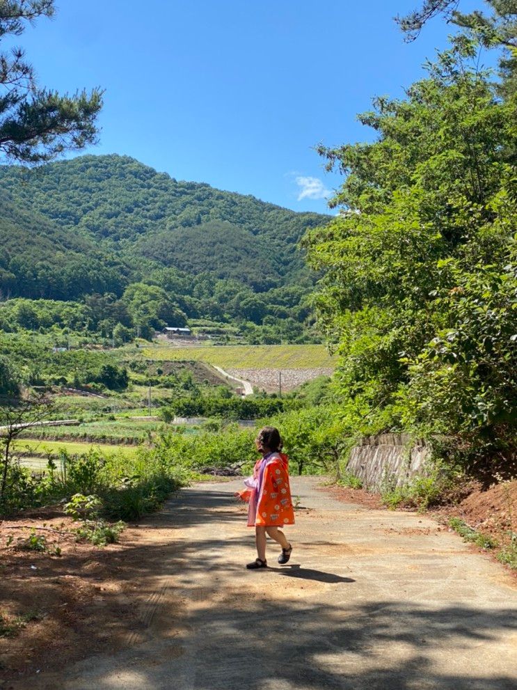 [대구/구미 근교] 청도산골 체험놀이터