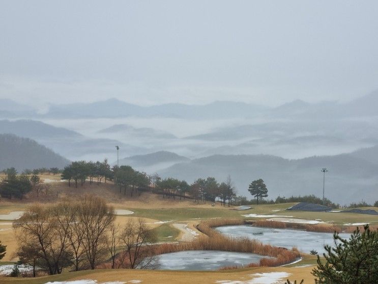 홍천 소노펠리체 비발디파크 빌리지 신관 I동 실버 스위트 후기