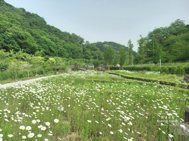 율곡수목원, 파주 가볼만한곳 서울근교 당일여행