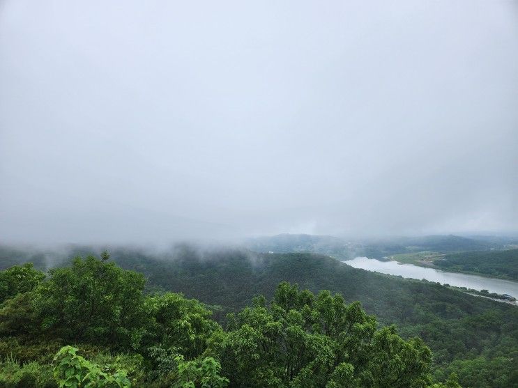 [파주] 무료로 즐길 수 있는 파주 가볼만한곳 율곡수목원